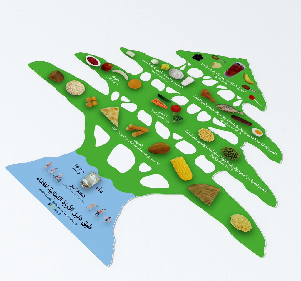 Cedar dietary guidelines plate - Arabic