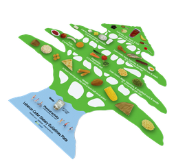 [END014E] Cedar dietary guidelines plate - English